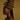 Delphine Diallo Cover Image